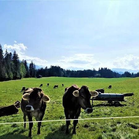 Apartman Edelweiss Bolsterlang