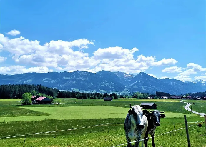Διαμέρισμα Edelweiss