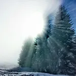 Edelweiss Больстерланг