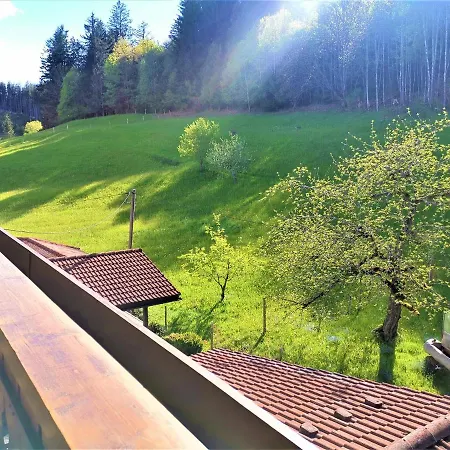 Edelweiss Apartment *