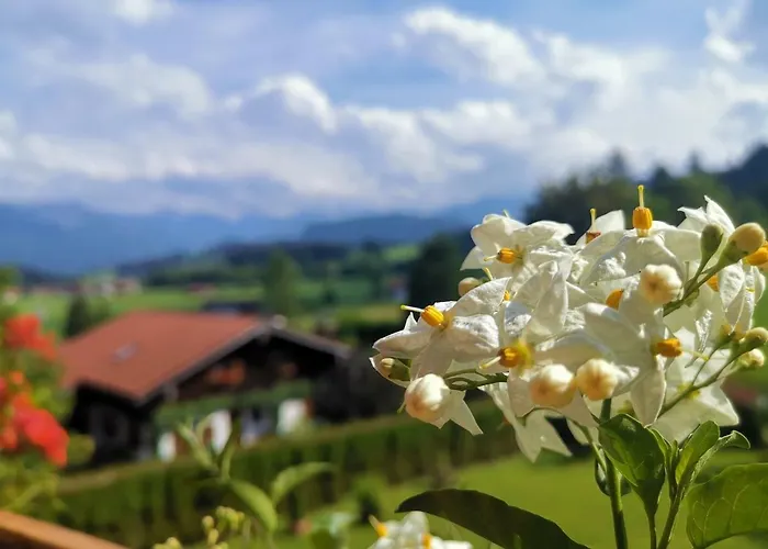 Edelweiss Lägenhet